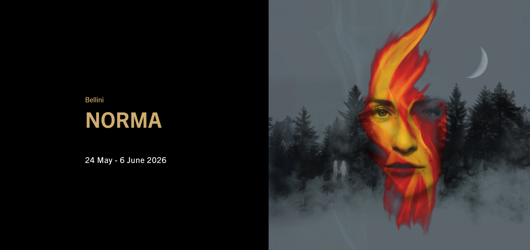 NORMA IMMAGINE