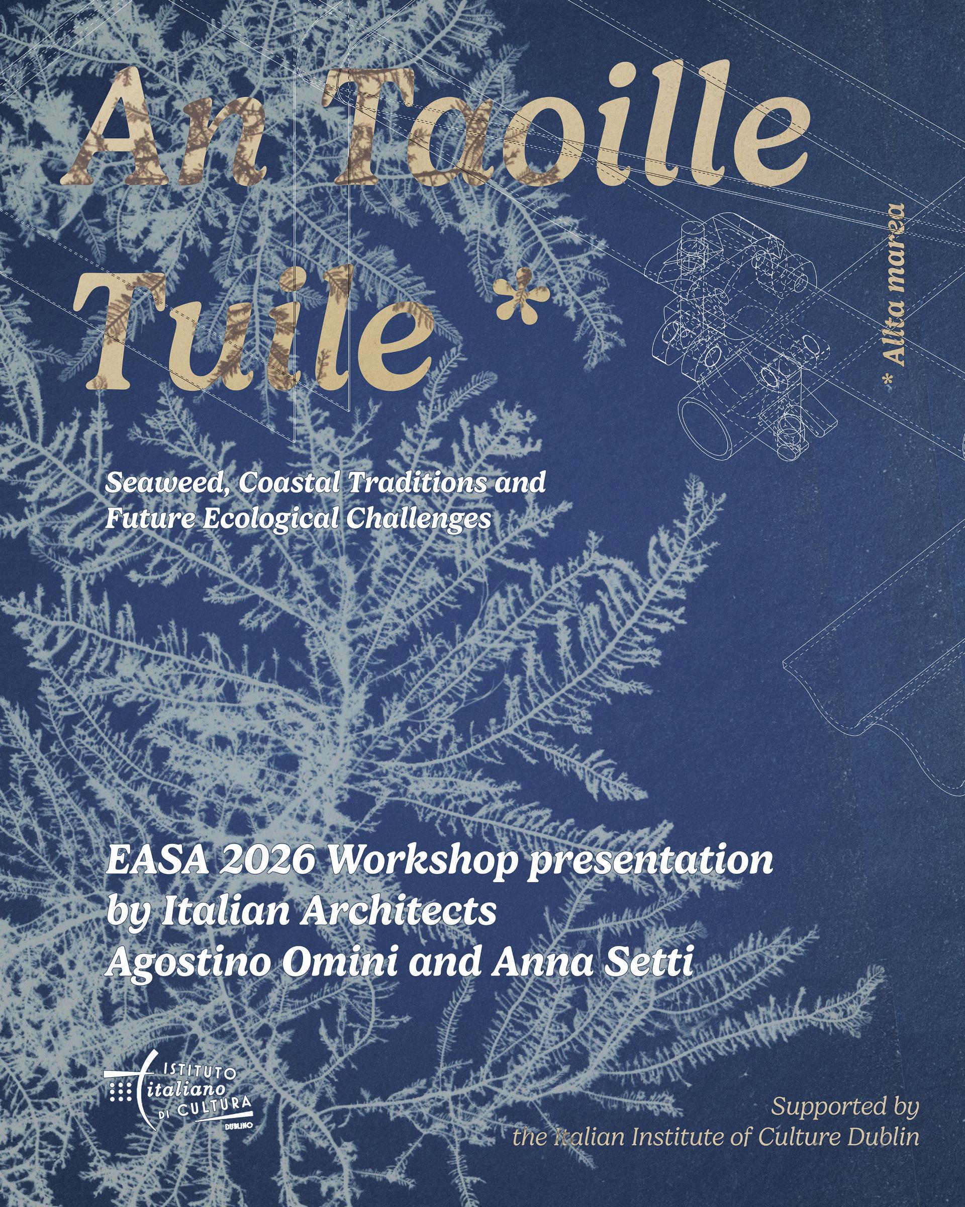 Locandina_An Taoille Tuile-1